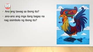 para saan ang tari ng manok|Ang Alamat ng Sarimanok .